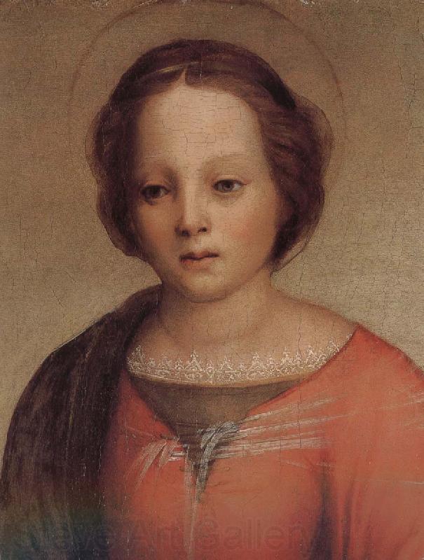 Andrea del Sarto Mary in detail